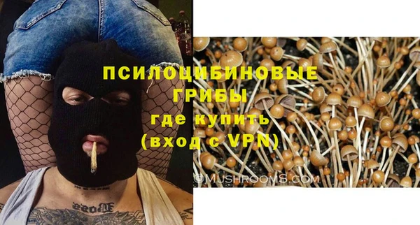 гидропоника Арсеньев