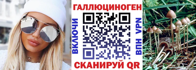 где найти   Сосновка  это Telegram  Псилоцибиновые грибы Psilocybe 